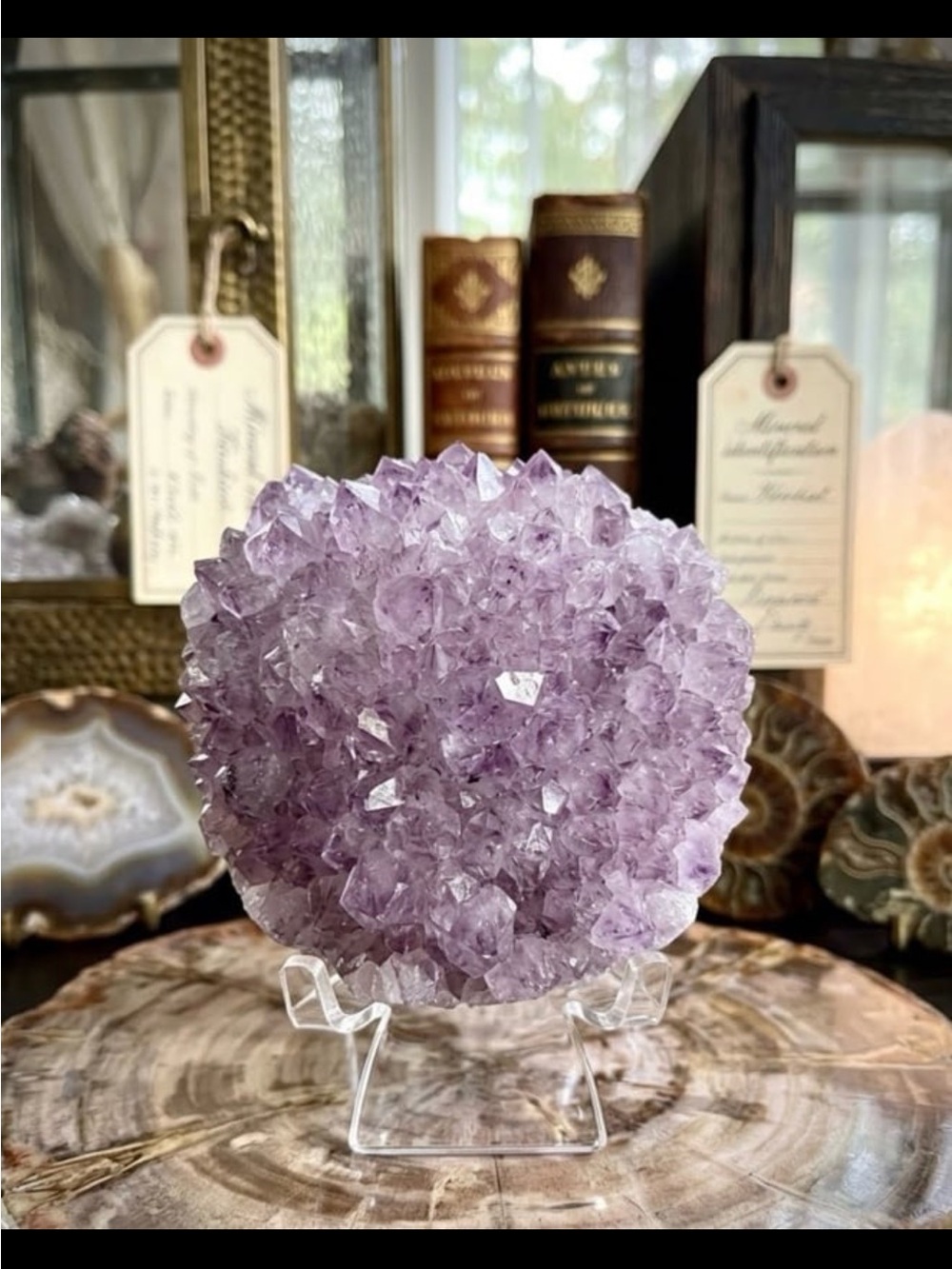 Amethyst Crystal Cluster Display - Lavender Veracruz Mexico
